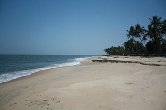 Fool'S Paradise Homestay Alappuzha Extérieur photo